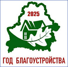 2025 год - Год благоустройства